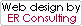 Web design by ER Consulting pages